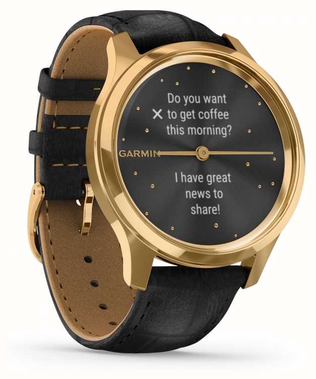 garmin vivomove gold